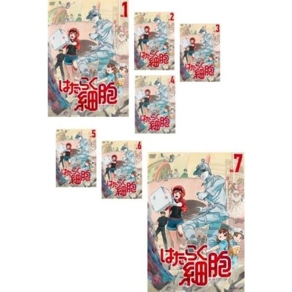 scarlet2021_20231108132815-02084