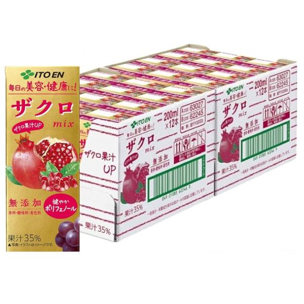他サイト： 【24本セット】 伊藤園 エコパック ザクロmix 紙パック (200ml×24本入) フルーツジュースの商品画像