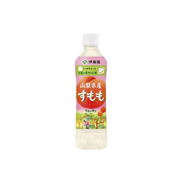 在庫処分】 伊藤園 ニッポンエール 山梨県産すもも （500g） ペット