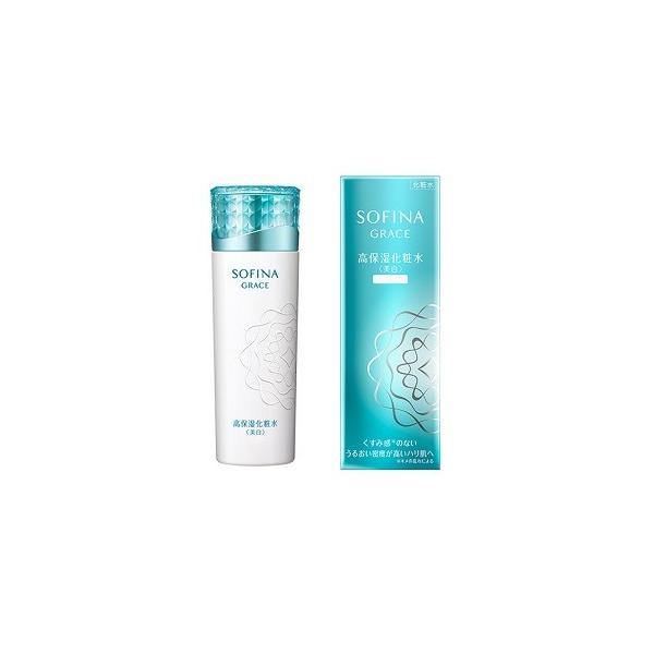 グレイスソフィーナ」の人気商品一覧 | 安い商品を通販サイトから探す