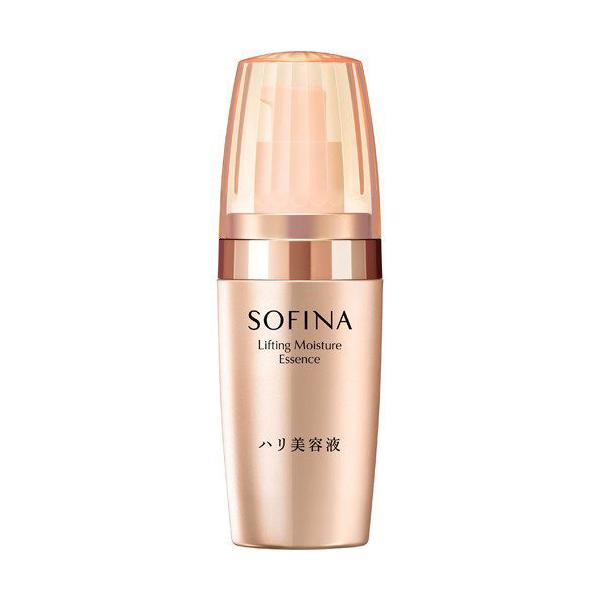 ԉ \tB[i net { (40g) e͊n锧 ێet