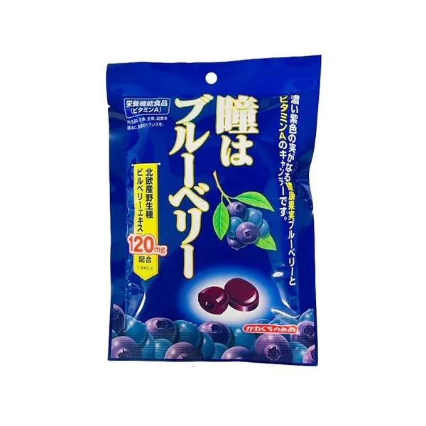 Lブルーベリー10箱 Lブルーベリー10箱 Lブルーベリー10箱 L