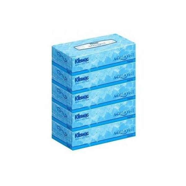 NlbNX ێeBbV[ ANAF[ TRpbN yPAp@邨Ȃ₩eBV[z