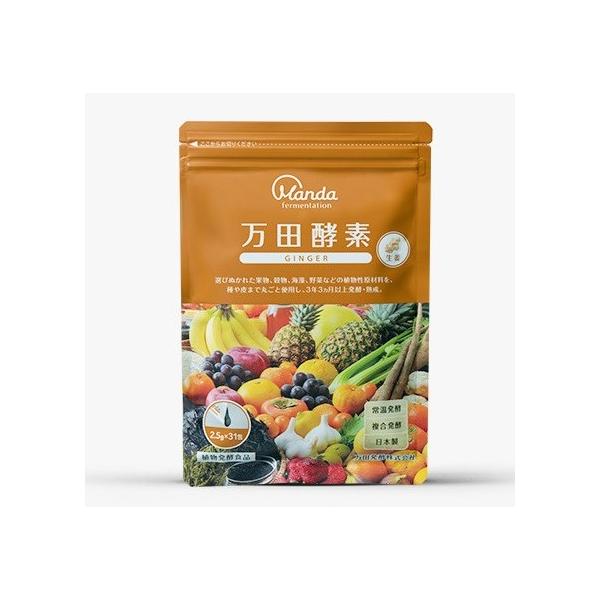 yAz cyf GINGER WW[ y[Xgij^Cv 77.5g(2.5g×31)