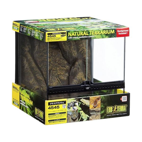 yJz GL]e OXeE 4545 PT2605(1)