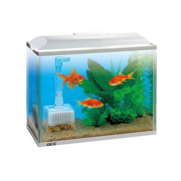 J ジェックス 金魚元気 水きれいセット S 1セット Scb 通販 Yahoo ショッピング