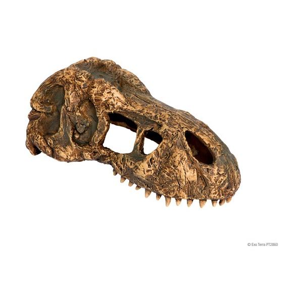 yJz GL]e XJS PT2926(1)