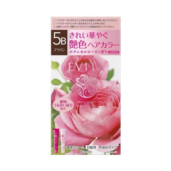 カネボウ エビータ トリートメントヘアカラー ５Ｂ （医薬部外品） ブラウン
