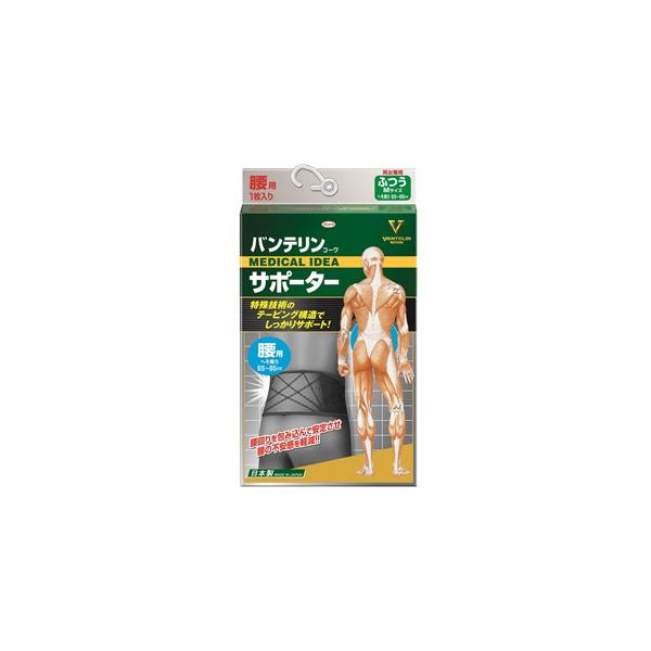 aV oeR[T|[^[ p jp ubN ӂ MTCY (1)