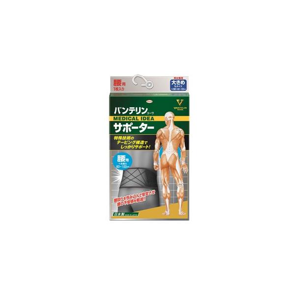 aV oeR[ T|[^[ p jp ubN 傫 LTCY (1)