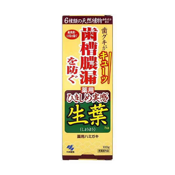 ѐ@p݂@tЂߎ^Cv(100g)@^Rh@݂͂