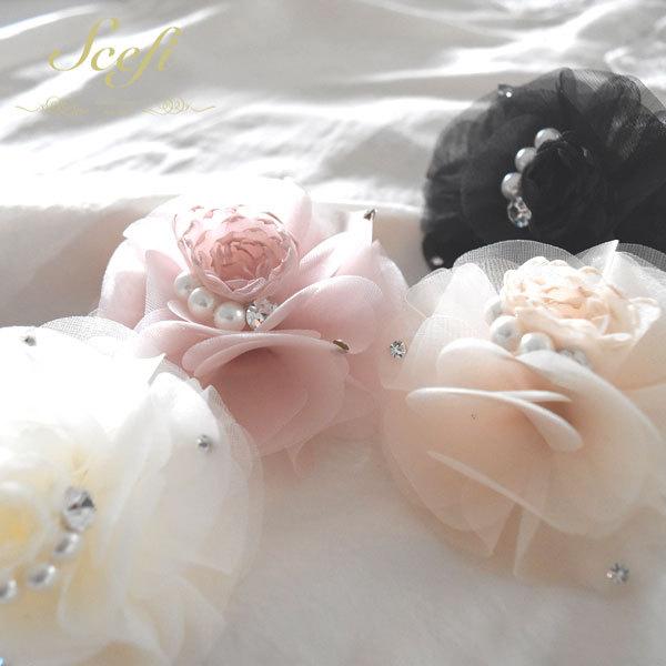 RT[W t[ p[ CXg[ Zj[ tH[}  I[KW[ |Cg Nbv Ǝ  w 