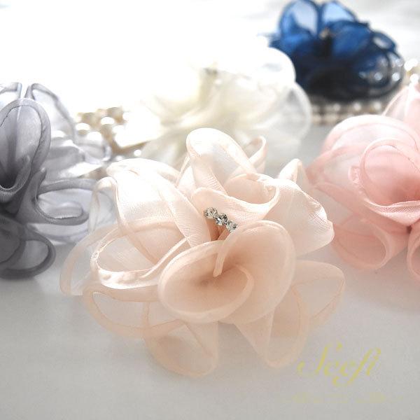 RT[W t[ CXg[ Zj[ tH[}  |Cg Nbv Ǝ  w 