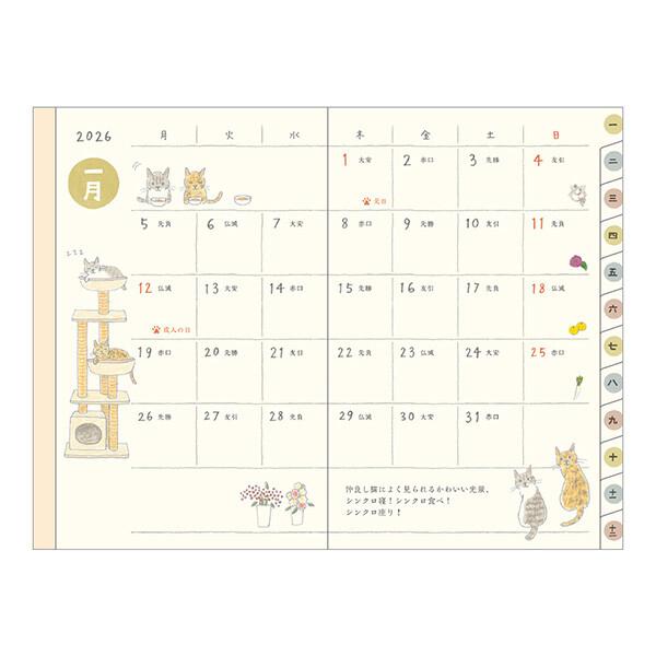 school-supply_ed27qdt0_3_d_20260315005453