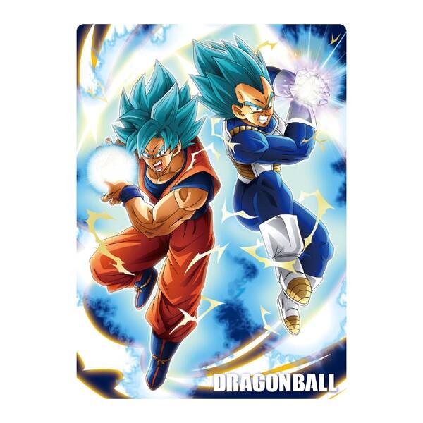 ドラゴンボール超 スーパー 下敷き 男の子 女の子 小学校 入学 プレゼント 01 メール便 送料込価格 V96y3071 スクールサプライ 通販 Yahoo ショッピング