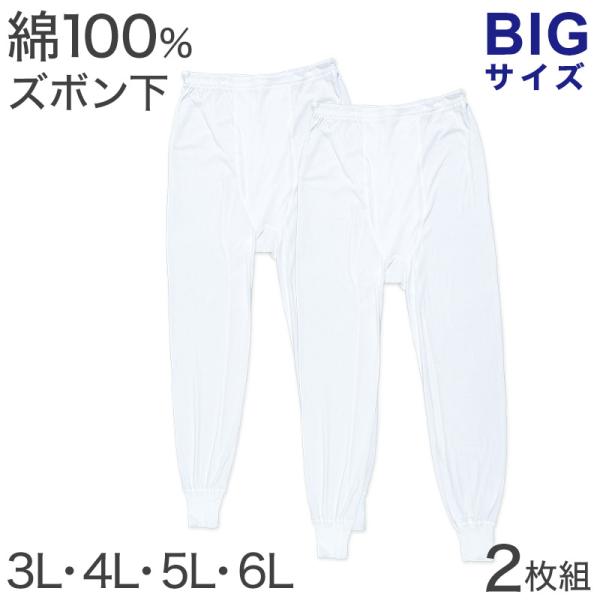 ズボン下 綿100% 大きいサイズ 2枚組 3L 4L 5L 6L メンズ 肌着 下着 インナー コットン ビッグサイズ アンダーパンツ 前開き 下着 男性 白