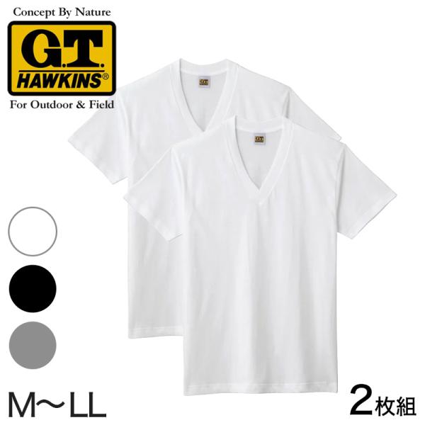 グンゼ 綿100% メンズ インナー 半袖 Vネック Tシャツ 2枚組 M〜LL GUNZE GTホーキンス 下着 インナーシャツ 男性 紳士 V首 肌着 インナー