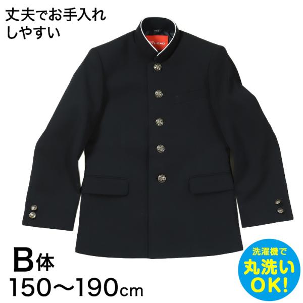 学生服 詰衿上衣 ソフトラウンドカラー ストリード 150cmB〜190cmB ( 制服 学校 学生 中学生 高校生 大きいサイズ) (送料無料) (取寄せ)