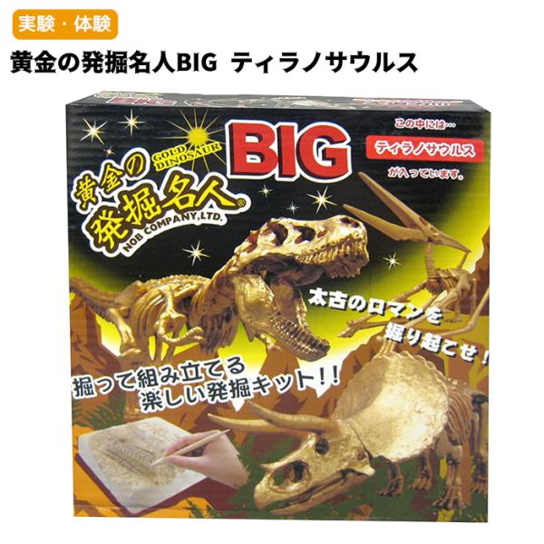 自由工作】【実験・体験】黄金の発掘名人BIG ティラノサウルス T-REX T