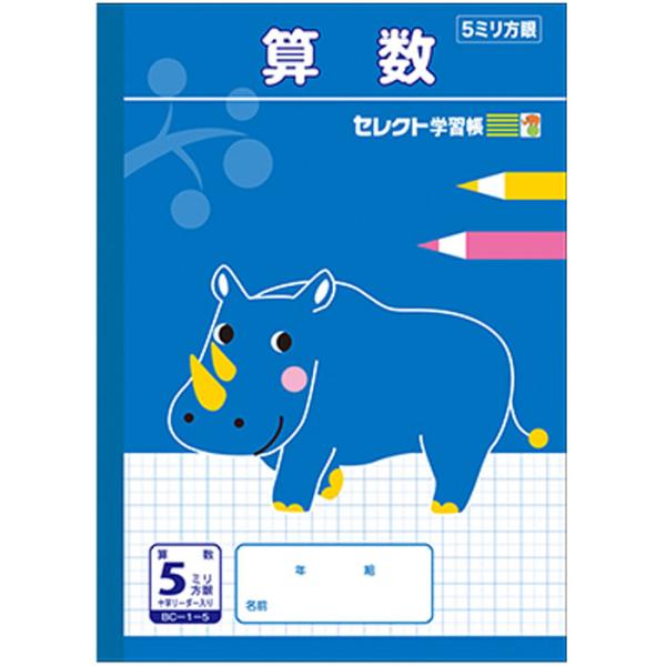 ワイがたぶん小5の時に使ってた算数のノート ショウワノート 【 算数 】【 B5判 5mm方眼 中心リーダー入 】文