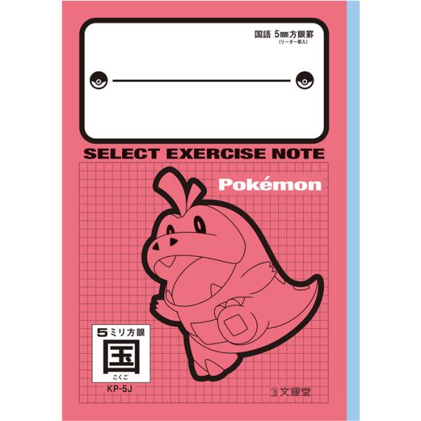文運堂 【国語】【 B5判 】【 5mm方眼 中心リーダー入 】セレクト学習