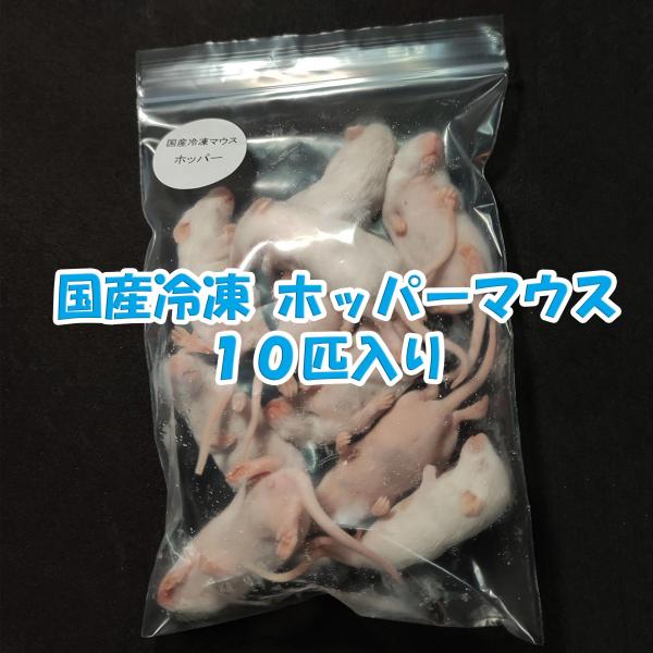 国産冷凍ホッパーマウス　10匹入り重さ：約10g実験動物用の飼料で飼育された安心安全の国産冷凍マウスです。ヘビやトカゲ猛禽におすすめです♪１袋10匹入りとなっております。※製品の性質上、下記の点ご了承ください。加工・検品の際に念入りにチェッ...
