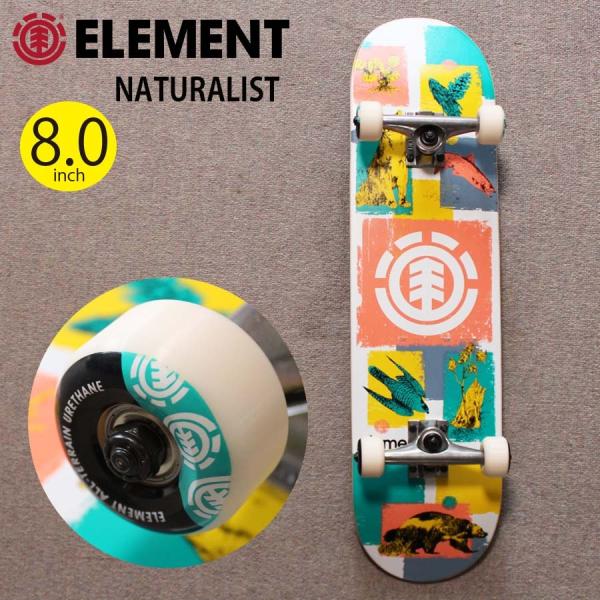 ELEMENT（エレメント） 正規品 スケートボード コンプリート 完成品