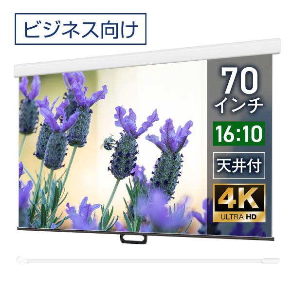 プロジェクタースクリーン スプリングスクリーン ケースあり 70インチ 16 10 マスクフリー Wcs1508feh Wcs1508feh スクリーン専門店シアターハウス 通販 Yahoo ショッピング