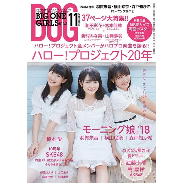 BIG ONE GIRLS 2018年11月号 NO.047