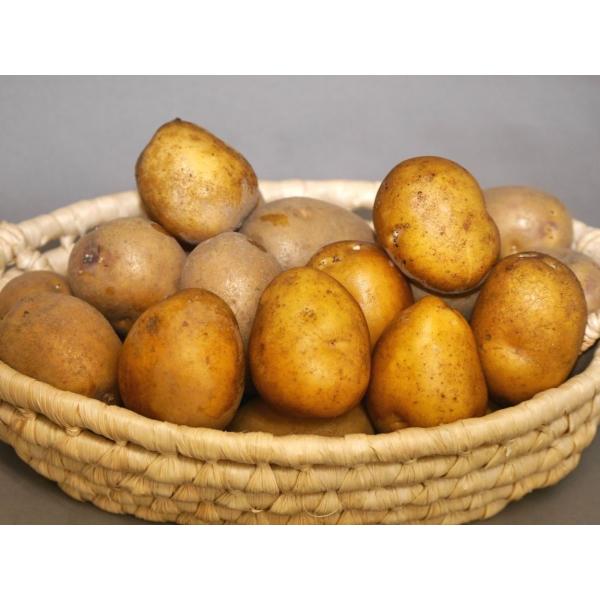 [Release date: January 23, 2025]完熟で堀上げ低温貯蔵された「インカのめざめ」は甘味が強く ナッツや栗のような独特の風味があります