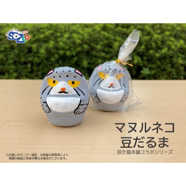 マヌルネコ 豆だるま 数量限定 :00028-2:埼玉県こども動物自然公園 - 通販 - マヌルネコ 豆だるま 数量限定 :00028-2:埼玉県こども動物自然公園 - 通販 -