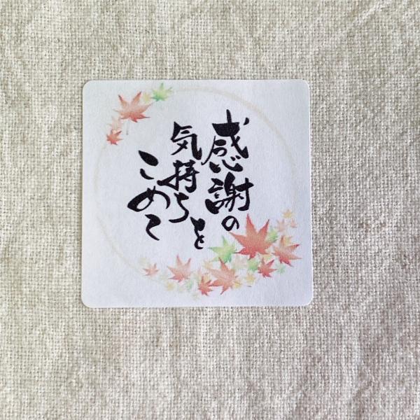 【専用ページ】【48枚】【敬老の日】ハンドメイドシール seal-15165-11-10.jpg?fitin=720:720