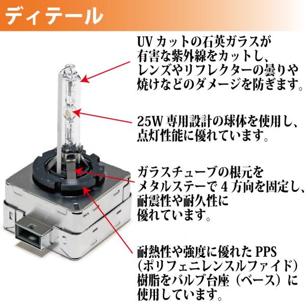 seabasslink_pmh003_2