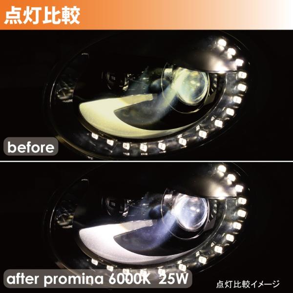 seabasslink_pmh003_4