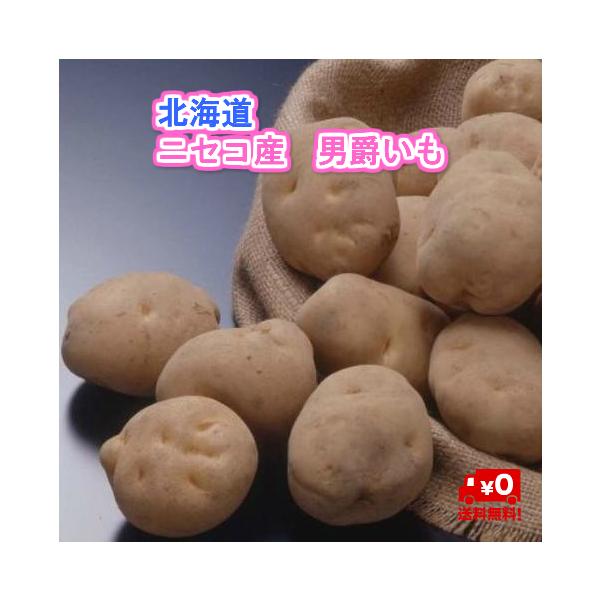 [Release date: September 24, 2025]北海道　ニセコ産　男爵いも　Ｌ　4ｋｇの商品になります。北海道のブランド、ニセコ町のじゃがいもは寒暖の差が激しいニセコアンヌプリの麓で栽培されています。当商品はニセコ町ニセ...