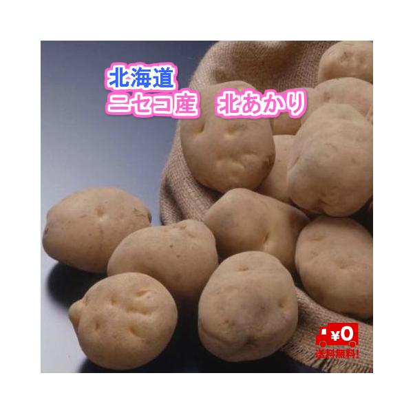 [Release date: September 24, 2025]北海道　ニセコ産　北あかり（栗じゃが）　ＬＭ　１０ｋｇの商品になります。北海道のブランド、ニセコ町のじゃがいもは寒暖の差が激しいニセコアンヌプリの麓で栽培されています。当商...