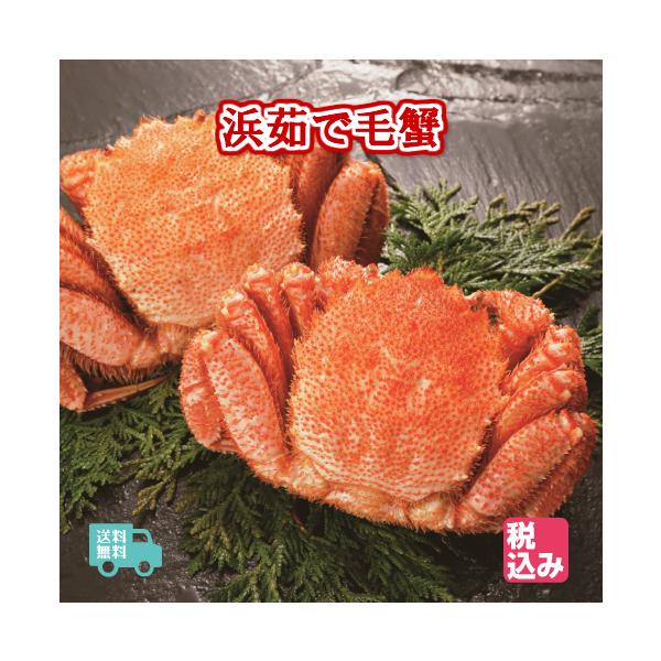 北海道産　浜茹　毛蟹　２ハイ　約８００ｇ　　送料無料！！