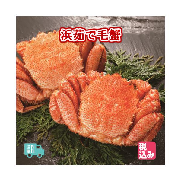 北海道産　浜茹　毛蟹　２ハイ　約８８０ｇ　送料無料！！
