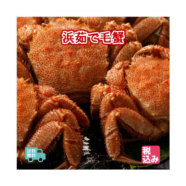北海道産　浜茹　毛蟹　３ハイ　約１．５ｋｇ　送料無料！！
