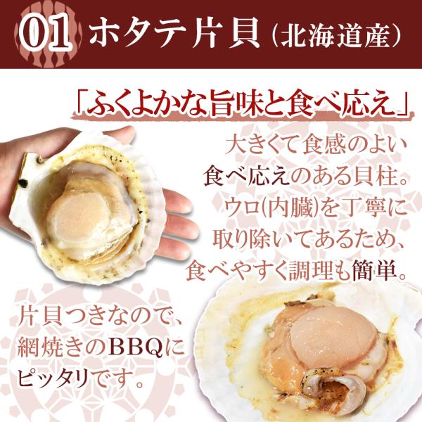 ホタテ 牡蠣 殻付き 貝 海鮮 バーベキュー セット Buyee Buyee 日本の通販商品 オークションの代理入札 代理購入