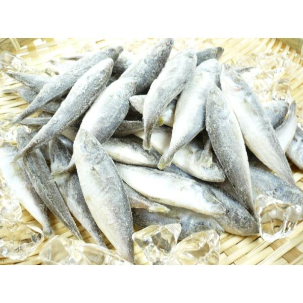 豆アジ 国産まめあじ 1kg 冷凍バラ凍結 豆あじ ジンタ 豆あじ Buyee Buyee Japanese Proxy Service Buy From Japan Bot Online