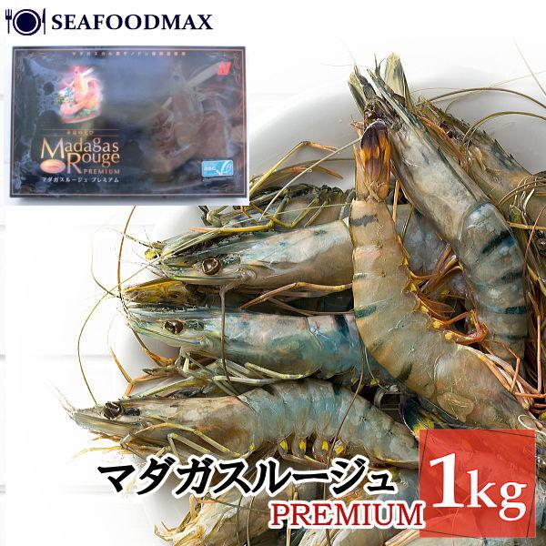 食生活と身体の退化 プライス 増補改訂版 即日発送 新品 領収書可 食生活と身体の退化―先住民の伝統食と近代食その身体への驚く