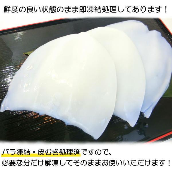 大きいサイズ お刺身用 アオリイカ 2 4枚入 約1kg アオリイカ2 4 Y 171 Seafoodmax 通販 Yahoo ショッピング