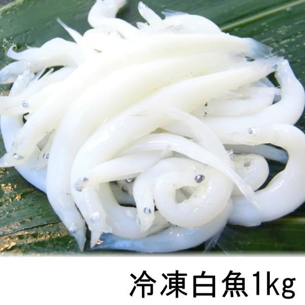 白魚 しらうお 1kg 白魚 Y108 Seafoodmax 通販 Yahoo ショッピング