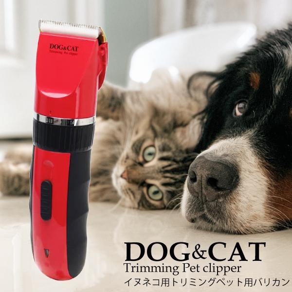 ybgpoJ pO[~OoJ poJ LpoJ R[hX [d ybgO[~OZbg Jbg