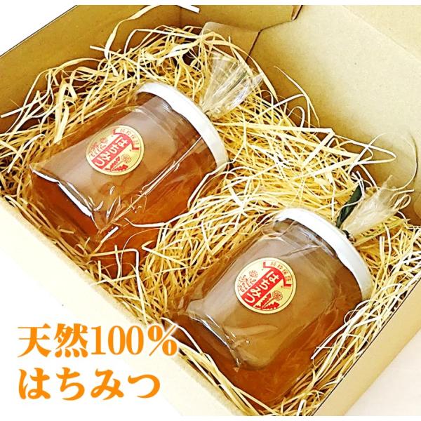 天然100%絞り立て生はちみつ 620g✖️2 【公式通販】