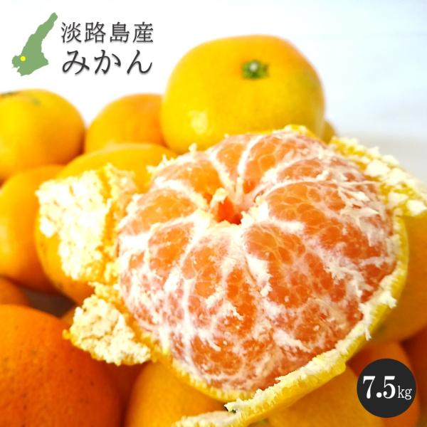 seapashop_sp0075