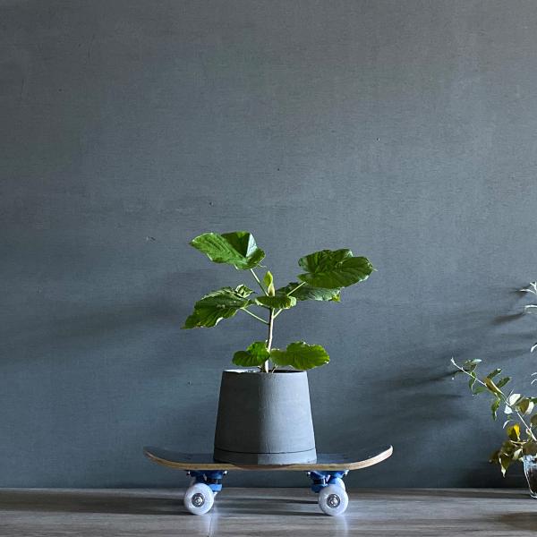 searchlight_tps-parkboy_2