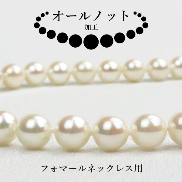 seashore_allnot