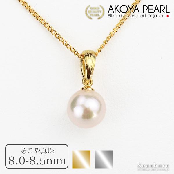 seashore_pnd-pw1h8580